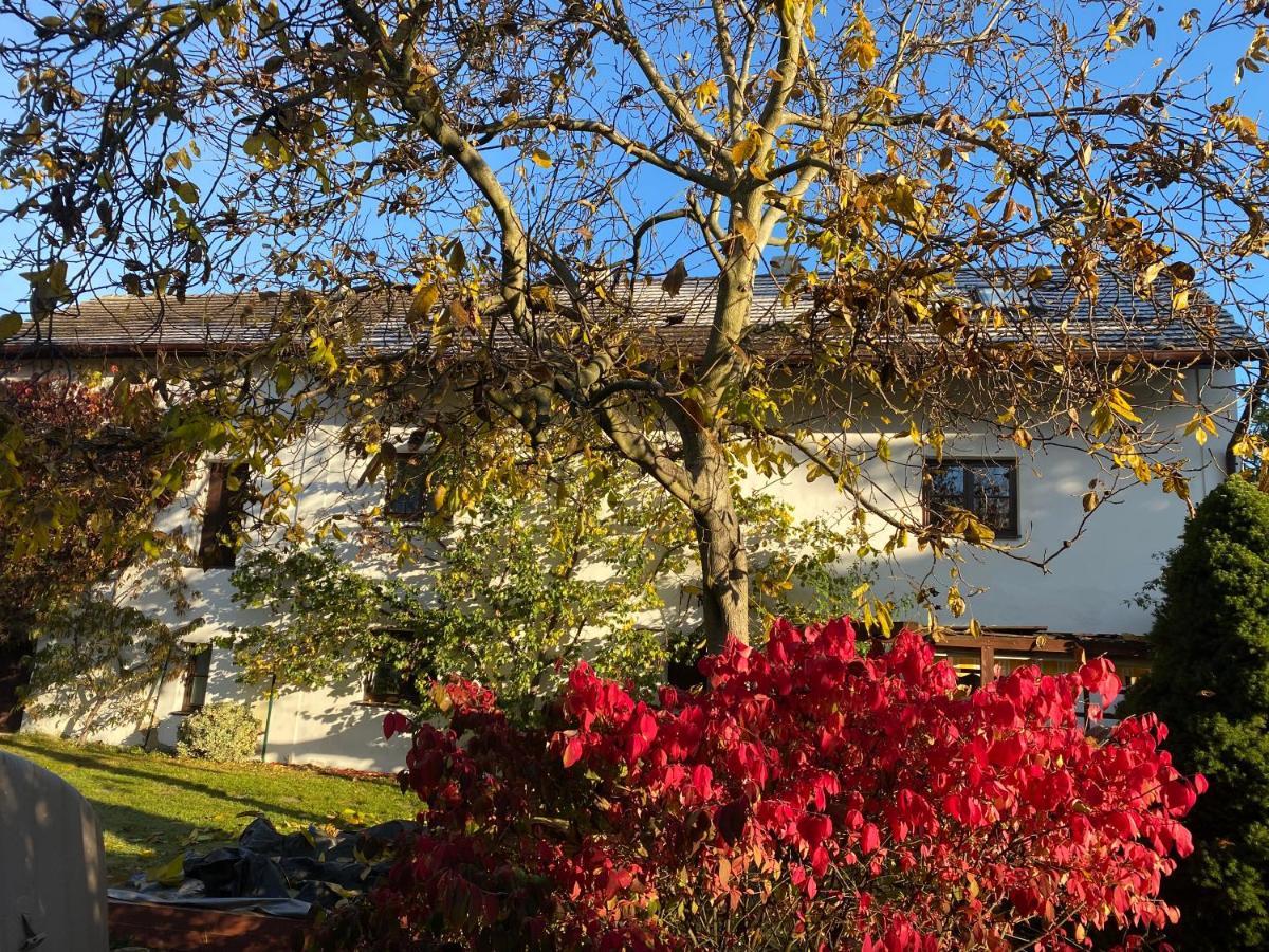 Ferienwohnung Pokoje V Chalupe Pod Milesovkou Velemin Exterior foto